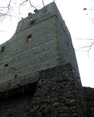 061210 Radyne794.jpg